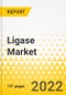 Ligase Market - A Global and Regional Analysis:Focus on Product, Source, Application, End User, and Country - Analysis and Forecast, 2022-2032 - Product Thumbnail Image