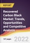 Global Recovered Carbon Black Market to 2027: Trends, Opportunities and Competitive Analysis - Product Thumbnail Image
