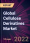 Global Cellulose Derivatives Market 2022-2026 - Product Thumbnail Image