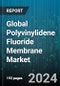 Global Polyvinylidene Fluoride Membrane Market by Type (Hydrophilic, Hydrophobic), Technology (Microfiltration, Nanofiltration, Ultrafiltration), Application, End-User - Cumulative Impact of COVID-19, Russia Ukraine Conflict, and High Inflation - Forecast 2023-2030 - Product Thumbnail Image