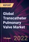 Global Transcatheter Pulmonary Valve Market 2022-2026 - Product Thumbnail Image