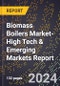 2024 Global Forecast for Biomass Boilers Market (2025-2030 Outlook)-High Tech & Emerging Markets Report - Product Thumbnail Image