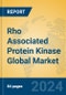 Rho Associated Protein Kinase Global Market Insights 2024, Analysis and Forecast to 2029, by Manufacturers, Regions, Technology, Application - Product Image