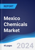 Mexico Chemicals Market Summary, Competitive Analysis and Forecast to 2028- Product Image
