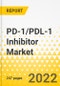 PD-1/PDL-1 Inhibitor Market - A Global and Regional Analysis: Focus on Epidemiology, Product, and Region - Analysis and Forecast, 2022-2032 - Product Thumbnail Image