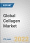Global Collagen Markets: Nutraceuticals, Food and Beverage, Pharmaceutical and Healthcare, Cosmetics and Personal Care - Product Thumbnail Image