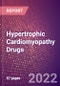 Hypertrophic Cardiomyopathy Drugs in Development by Stages, Target, MoA, RoA, Molecule Type and Key Players, 2022 Update - Product Thumbnail Image