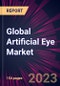 Global Artificial Eye Market 2024-2028 - Product Image