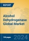 Alcohol Dehydrogenase Global Market Insights 2024, Analysis and Forecast to 2029, by Manufacturers, Regions, Technology - Product Thumbnail Image