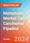 Metastatic Merkel Cell Carcinoma - Pipeline Insight, 2024 - Product Image