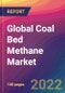Global Coal Bed Methane Market: Size, Share, Application Analysis, Regional Outlook, Growth Trends, Key Players, Competitive Strategies and Forecasts, 2022-2030 - Product Thumbnail Image