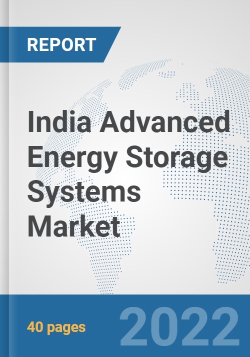India Advanced Energy Storage Systems Market Prospects, Trends