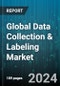Global Data Collection & Labeling Market by Data Type (Audio, Image & Video, Text), End-Use Industry (Automotive, BFSI, Government) - Forecast 2024-2030 - Product Image