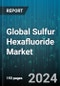Global Sulfur Hexafluoride Market by Product (Electronic Grade, Standard Grade, UHP Grade), End-user (Electronics, Medical, Metal Manufacturing) - Forecast 2024-2030 - Product Image