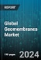 Global Geomembranes Market by Raw Material (Additives, Resin), Manufacturing Process (Calendering, Extrusion), Application - Forecast 2024-2030 - Product Thumbnail Image