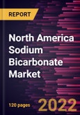 North America Sodium Bicarbonate Market Forecast to 2028 - COVID-19 Impact and Regional Analysis - by Grade, Form, and End User- Product Image