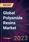 Global Polyamide Resins Market 2024-2028 - Product Thumbnail Image