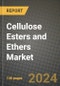 2024 Cellulose Esters and Ethers Market Outlook Report: Industry Size, Market Shares Data, Insights, Growth Trends, Opportunities, Competition 2023 to 2031 - Product Thumbnail Image