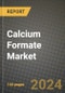 2024 Calcium Formate Market Outlook Report: Industry Size, Market Shares Data, Insights, Growth Trends, Opportunities, Competition 2023 to 2031 - Product Image