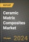 2024 Ceramic Matrix Composites (CMC) Market Outlook Report: Industry Size, Market Shares Data, Insights, Growth Trends, Opportunities, Competition 2023 to 2031 - Product Thumbnail Image