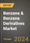 2024 Benzene & Benzene Derivatives Market Outlook Report: Industry Size, Market Shares Data, Insights, Growth Trends, Opportunities, Competition 2023 to 2031 - Product Image