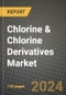 2024 Chlorine & Chlorine Derivatives Market Outlook Report: Industry Size, Market Shares Data, Insights, Growth Trends, Opportunities, Competition 2023 to 2031 - Product Image