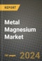 2024 Metal Magnesium Market Outlook Report: Industry Size, Market Shares Data, Insights, Growth Trends, Opportunities, Competition 2023 to 2031 - Product Image