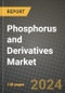 2024 Phosphorus and Derivatives Market Outlook Report: Industry Size, Market Shares Data, Insights, Growth Trends, Opportunities, Competition 2023 to 2031 - Product Thumbnail Image