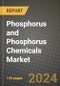 2024 Phosphorus and Phosphorus Chemicals Market Outlook Report: Industry Size, Market Shares Data, Insights, Growth Trends, Opportunities, Competition 2023 to 2031 - Product Thumbnail Image