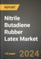 2024 Nitrile Butadiene Rubber (NBR) Latex Market Outlook Report: Industry Size, Market Shares Data, Insights, Growth Trends, Opportunities, Competition 2023 to 2031 - Product Thumbnail Image