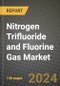 2024 Nitrogen Trifluoride and Fluorine Gas Market Outlook Report: Industry Size, Market Shares Data, Insights, Growth Trends, Opportunities, Competition 2023 to 2031 - Product Image