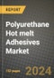 2024 Polyurethane (PU) Hot melt Adhesives Market Outlook Report: Industry Size, Market Shares Data, Insights, Growth Trends, Opportunities, Competition 2023 to 2031 - Product Image