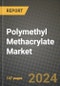 2024 Polymethyl Methacrylate (PMMA) Market Outlook Report: Industry Size, Market Shares Data, Insights, Growth Trends, Opportunities, Competition 2023 to 2031 - Product Thumbnail Image