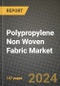 2024 Polypropylene Non Woven Fabric Market Outlook Report: Industry Size, Market Shares Data, Insights, Growth Trends, Opportunities, Competition 2023 to 2031 - Product Thumbnail Image