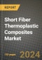 2024 Short Fiber Thermoplastic Composites Market Outlook Report: Industry Size, Market Shares Data, Insights, Growth Trends, Opportunities, Competition 2023 to 2031 - Product Image