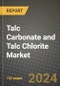 2024 Talc Carbonate and Talc Chlorite Market Outlook Report: Industry Size, Market Shares Data, Insights, Growth Trends, Opportunities, Competition 2023 to 2031 - Product Thumbnail Image