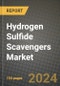 2024 Hydrogen Sulfide Scavengers Market Outlook Report: Industry Size, Market Shares Data, Insights, Growth Trends, Opportunities, Competition 2023 to 2031 - Product Thumbnail Image