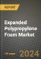 2024 Expanded Polypropylene (EPP) Foam Market Outlook Report: Industry Size, Market Shares Data, Insights, Growth Trends, Opportunities, Competition 2023 to 2031 - Product Thumbnail Image