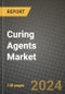 2024 Curing Agents Market Outlook Report: Industry Size, Market Shares Data, Insights, Growth Trends, Opportunities, Competition 2023 to 2031 - Product Thumbnail Image