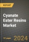 2024 Cyanate Ester Resins Market Outlook Report: Industry Size, Market Shares Data, Insights, Growth Trends, Opportunities, Competition 2023 to 2031 - Product Thumbnail Image