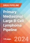 Primary Mediastinal Large B-Cell Lymphoma - Pipeline Insight, 2024 - Product Thumbnail Image