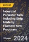 2024 Global Forecast for Industrial Polyester Yarn, Including Strip, Made by Filament Yarn Producers (2025-2030 Outlook) - Manufacturing & Markets Report - Product Thumbnail Image