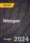 2024 Global Forecast for Nitrogen (2025-2030 Outlook) - Manufacturing & Markets Report - Product Image