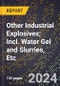 2024 Global Forecast for Other Industrial Explosives; Incl. Water Gel and Slurries, Etc (2025-2030 Outlook) - Manufacturing & Markets Report - Product Thumbnail Image