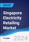 Singapore Electricity Retailing Market Summary, Competitive Analysis and Forecast to 2027 - Product Image