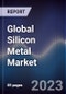 Global Silicon Metal Market Outlook to 2028 - Product Thumbnail Image