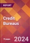 Credit Bureaus - 2024 U.S. Market Research Report with Updated Recession Risk Forecasts - Product Image