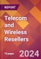 Telecom and Wireless Resellers - 2024 U.S. Market Research Report with Updated Recession Risk Forecasts - Product Image
