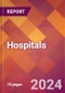Hospitals - 2024 U.S. Market Research Report with Updated Recession Risk Forecasts - Product Image