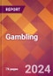 Gambling - 2024 U.S. Market Research Report with Updated Recession Risk Forecasts - Product Image